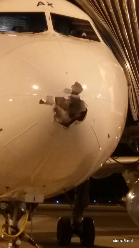 Strela je udarila v Airbus A319, reg. S5-AAX