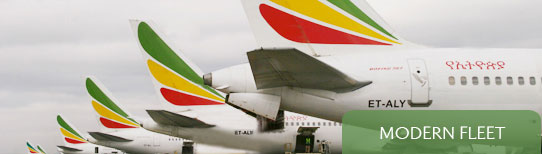 ethiopian_fleet.jpg