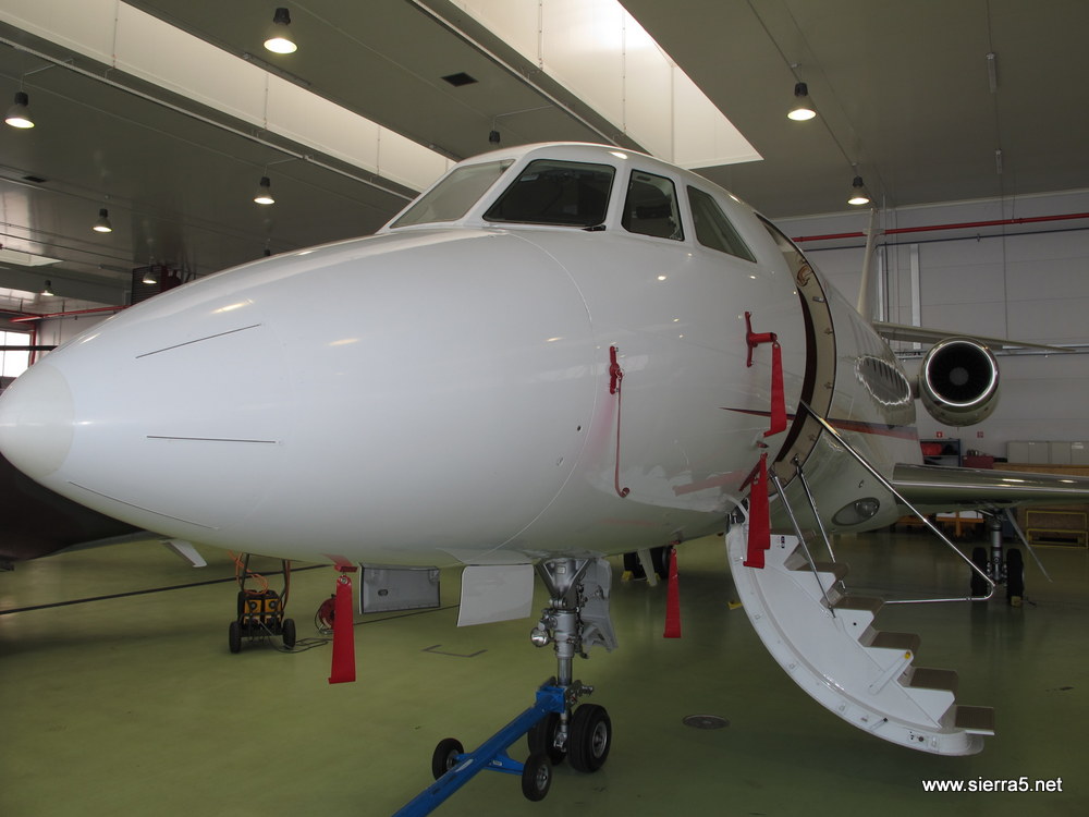 falcon_img_2287.jpg