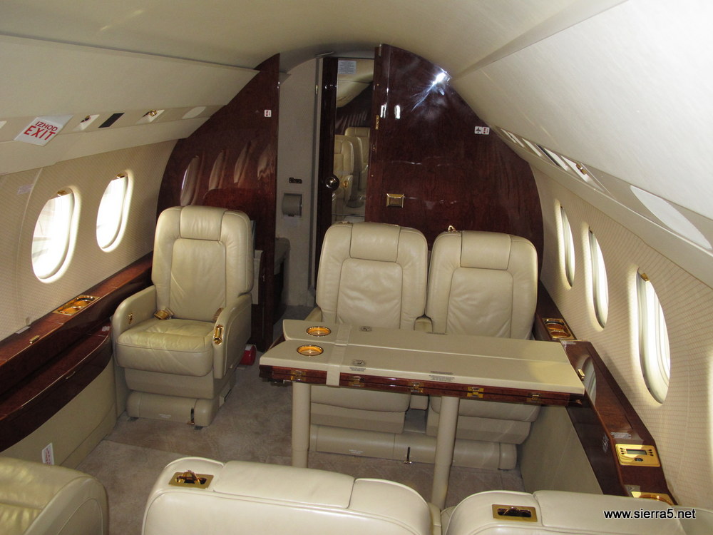 falcon_img_2292.jpg