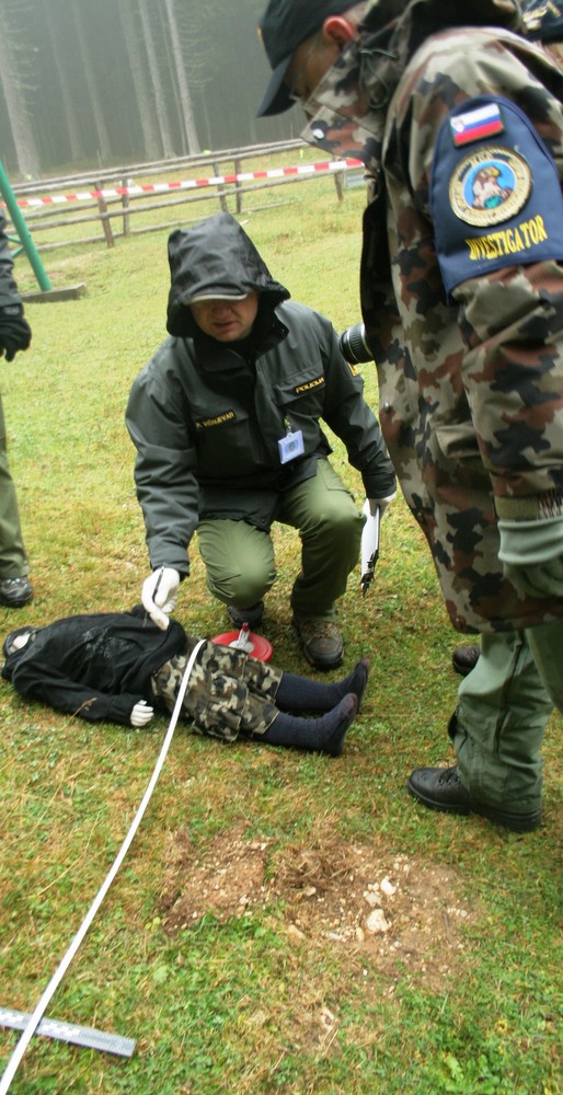zlomljeno_krilo_slika_7.jpg