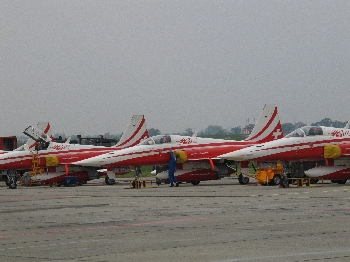 northrop_f-5e_tiger_ii_petrouille_suisse_na_ili_2004_foto_borut_podgorek.jpg