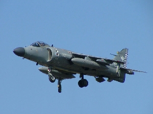 sea_harrier_fa2_at_riat_2005_photo_by_andrew_p_clarke.jpg